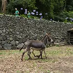Quinta Do Martelo