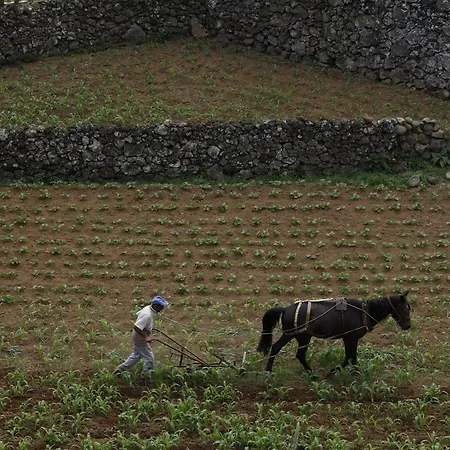 Quinta Do Martelo