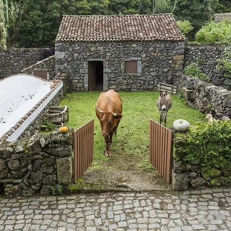 Pensión Quinta Do Martelo 3*