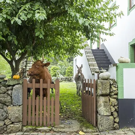 Pensión Quinta Do Martelo 3*