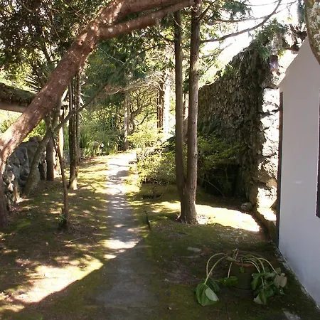 Quinta Do Martelo Pensión