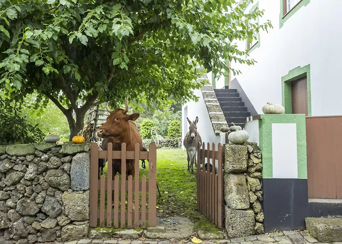 Quinta Do Martelo Guest house 3*