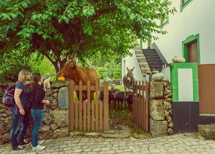 Quinta Do Martelo 3* Angra do Heroísmo