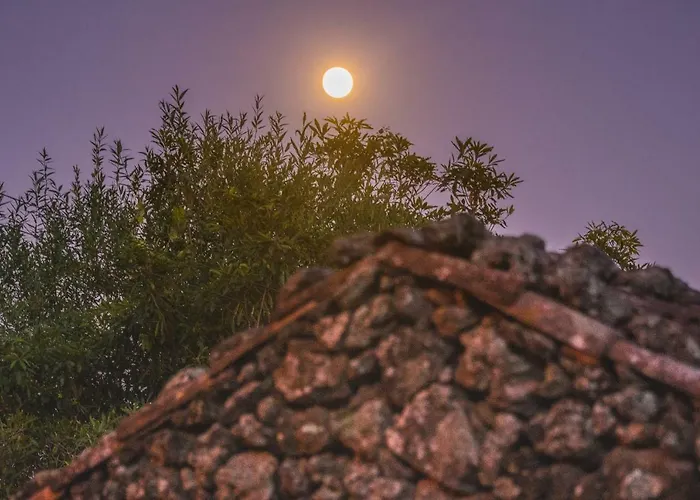 Guest house Quinta Do Martelo 3*